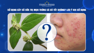 cây cỏ sữa trị mụn trứng cá