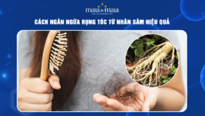ngăn ngừa rụng tóc từ nhân sâm