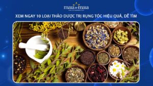 thảo dược trị rụng tóc