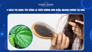 trị rụng tóc bằng lá trầu không