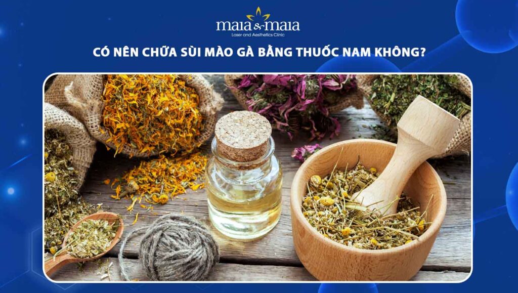 chữa sùi mào gà bằng thuốc Nam