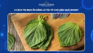 trị mụn ẩn bằng lá tía tô