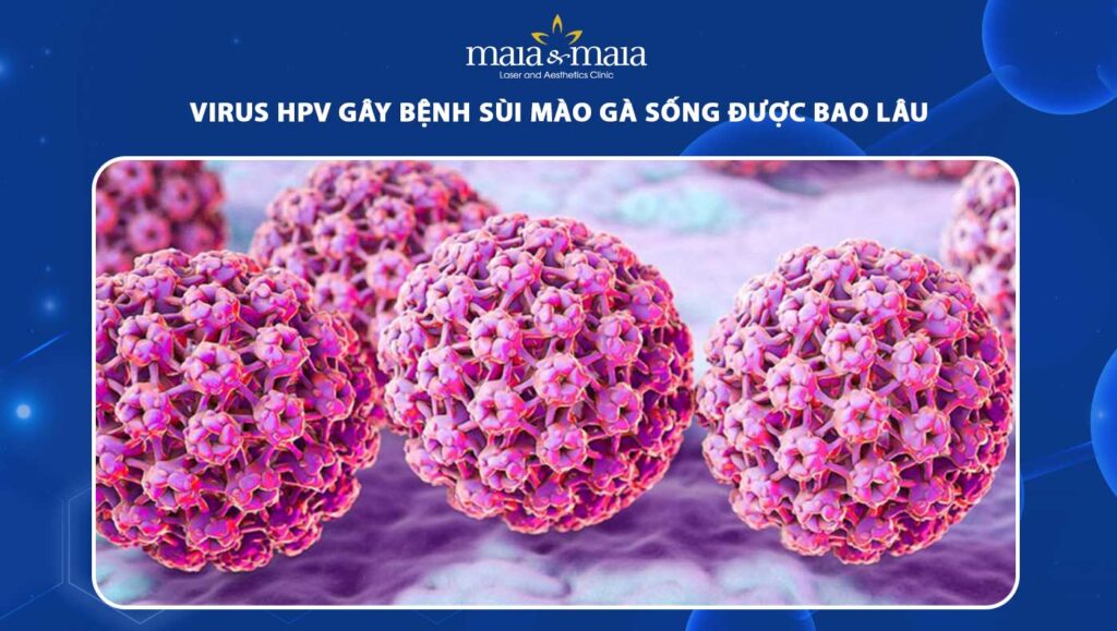 virus HPV gây bệnh sùi mào gà sống được bao lâu