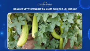 ăn mướp có bị sẹo lồi không