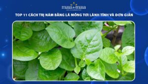 cách trị nám bằng lá mồng tơi