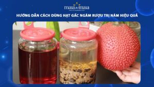 hạt gấc ngâm rượu trị nám