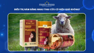 trị nám bằng nhau thai cừu