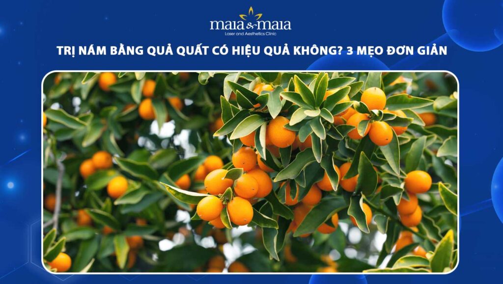 trị nám bằng quả quất