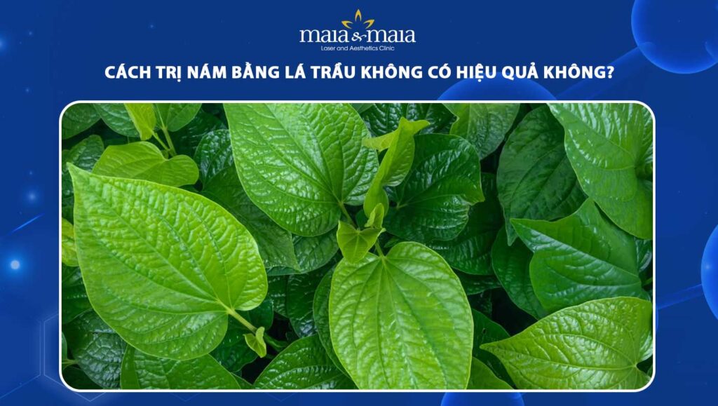 cách trị nám bằng lá trầu không