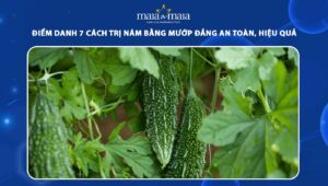 cách trị nám bằng mướp đắng