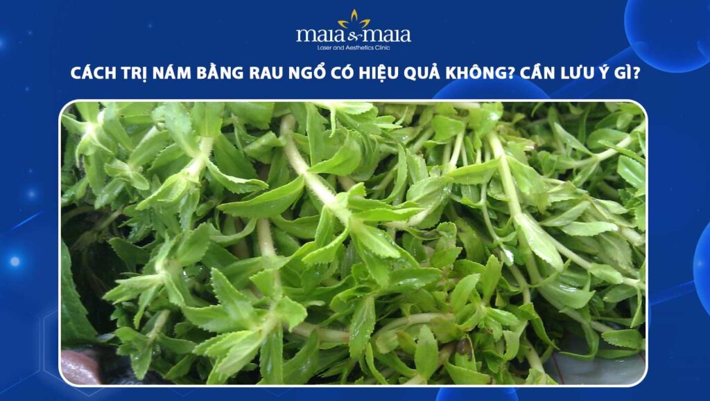 cách trị nám bằng rau ngổ