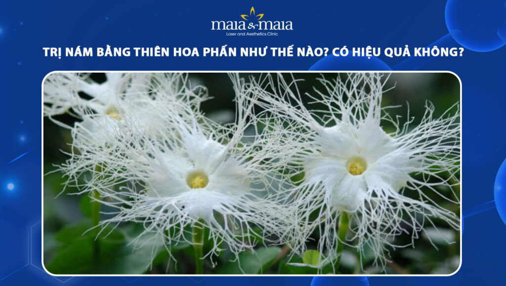 trị nám bằng thiên hoa phấn