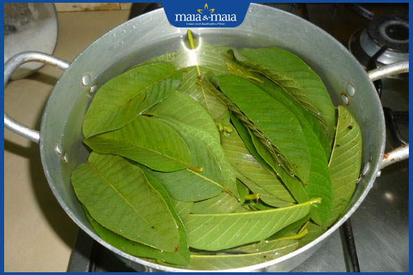 gội đầu bằng nước lá ổi