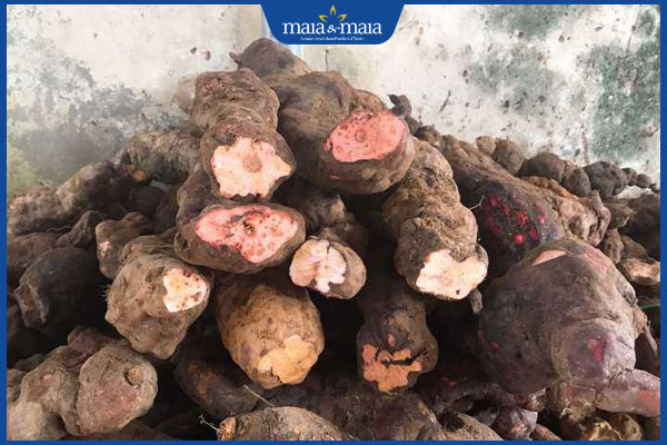 Tìm hiểu 10 bài thuốc dân gian kích thích mọc tóc tại nhà 4 hà thủ ô