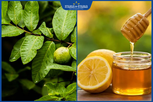 lá ổi, mật ong và chanh