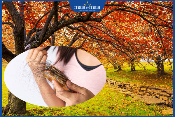 Tóc rụng vào mùa thu: Nguyên nhân và cách khắc phục 2 mùa thu dễ rụng tóc