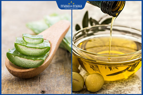 TOP 5 mẹo trị thâm môi bằng dầu oliu tiết kiệm và an toàn 4 nha đam và dầu oliu