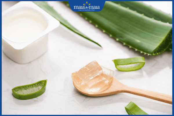 Tổng hợp 8 cách trị dị ứng da mặt bằng nha đam tại nhà 6 nha đam và sữa chua