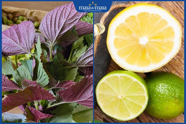 Tổng hợp 6 cách trị mụn bằng lá tía tô đơn giản ngay tại nhà 4 tía tô chanh tươi