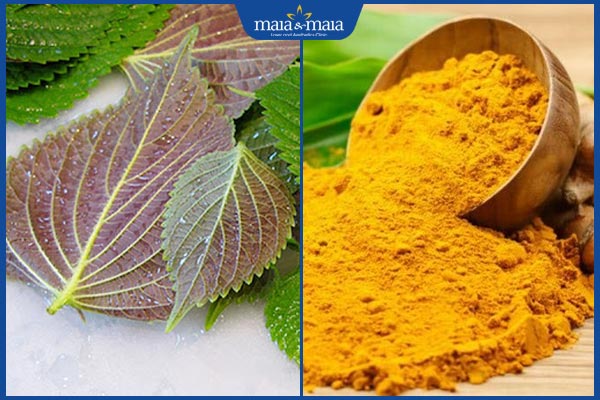 tía tô và bột nghệ