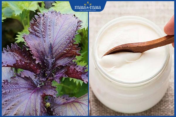 Tổng hợp 6 cách trị mụn bằng lá tía tô đơn giản ngay tại nhà 5 tía tô và sữa chua