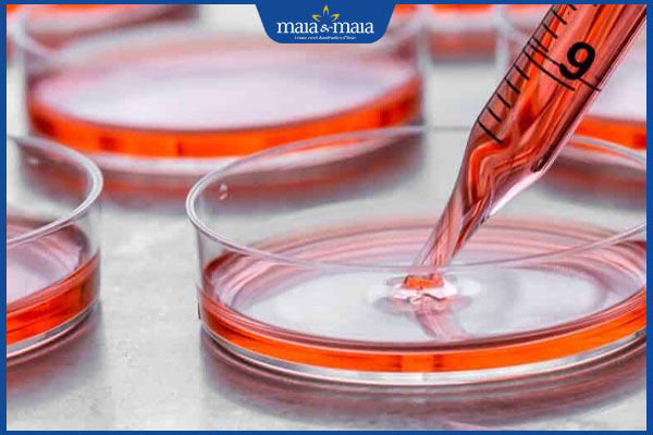 tìm hiểu về công nghệ tăng sinh mầm tóc