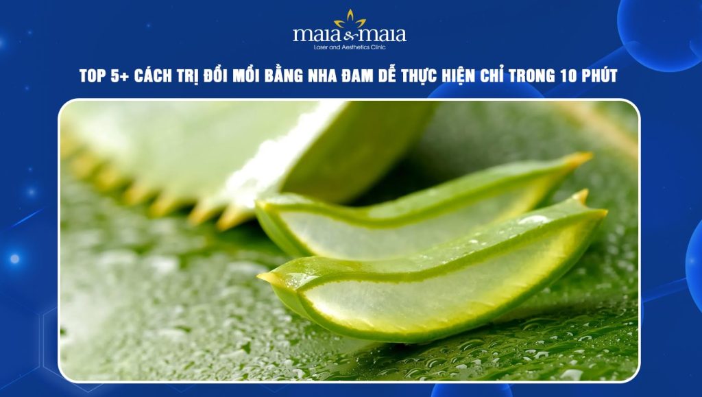 6 mẹo trị đồi mồi bằng nha đam đơn giản chỉ trong 10 phút 1 trị đồi mồi bằng nha đam