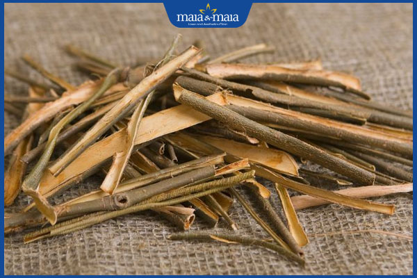 Tìm hiểu 10 bài thuốc dân gian kích thích mọc tóc tại nhà 7 vỏ liễu cành cây vừng đen