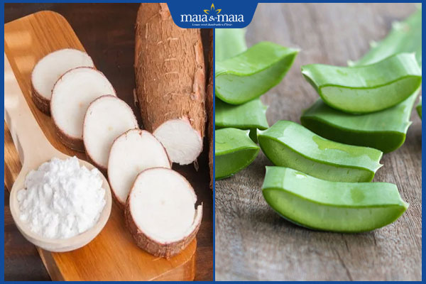 Bật mí 7 mẹo trị mụn bằng bột sắn dây và lưu ý khi áp dụng 4 bột sắn dây và nha đam