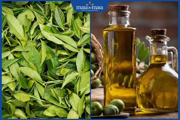 Gợi ý 11 công thức trị mụn bằng chè xanh an toàn, đơn giản 5 chè xanh và dầu oliu