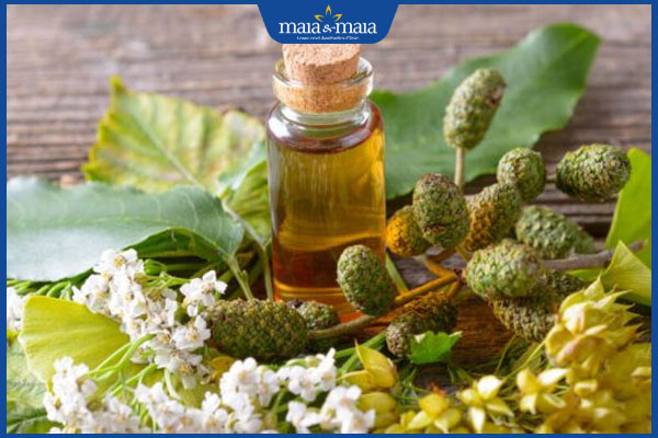 TOP 4 công thức trị mụn bằng dầu mù u lành tính cho làn da 2 dầu mù u