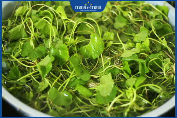 TOP 8 cách trị mụn bằng rau má cực đơn giản tại nhà 3 đun sôi rau má