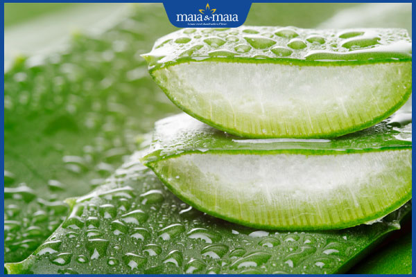 hiệu quả từ nha đam