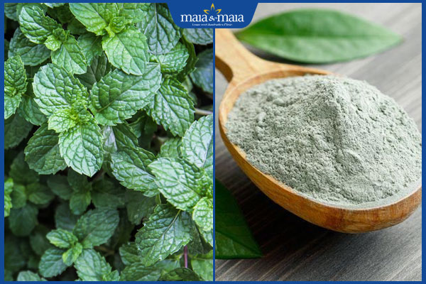lá bạc hà và đất sét xanh
