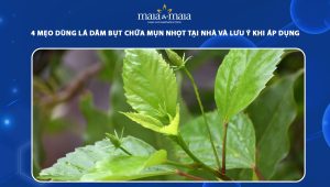 lá dâm bụt chữa mụn nhọt
