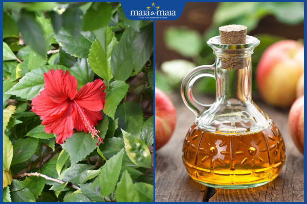 lá dâm bụt và giấm táo