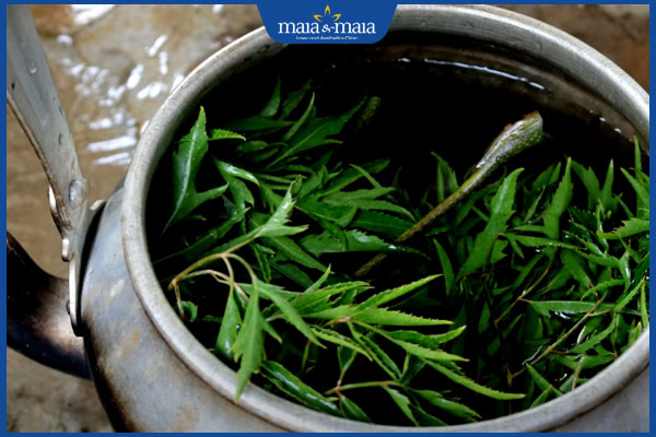 lá đinh lăng xông mặt