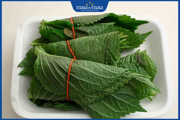 lá tía tô