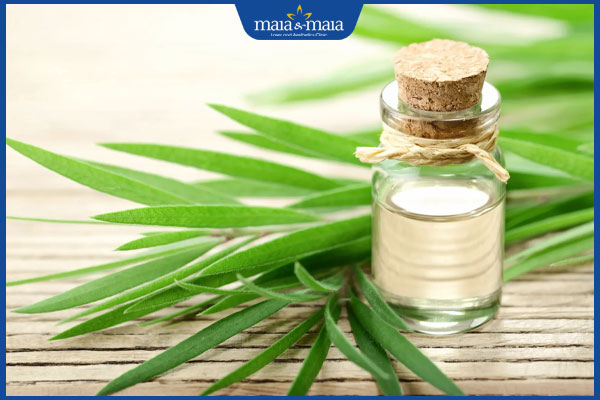 lọ tinh dầu tràm trà