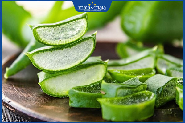 Bật mí 8 cách làm môi hết thâm sau 1 đêm đơn giản tại nhà 5 nha đam