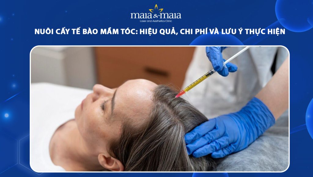 nuôi cấy tế bào mầm tóc