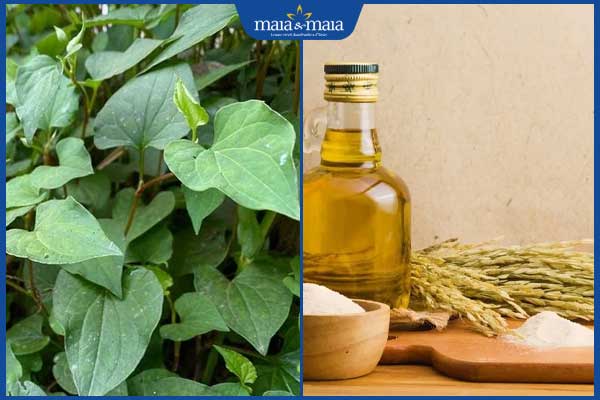 10 cách trị mụn bằng rau diếp cá nhanh chóng và hiệu quả 7 rau diếp cá, dầu oliu và cám gạo