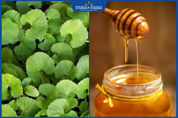 TOP 8 cách trị mụn bằng rau má cực đơn giản tại nhà 4 rau má và mật ong