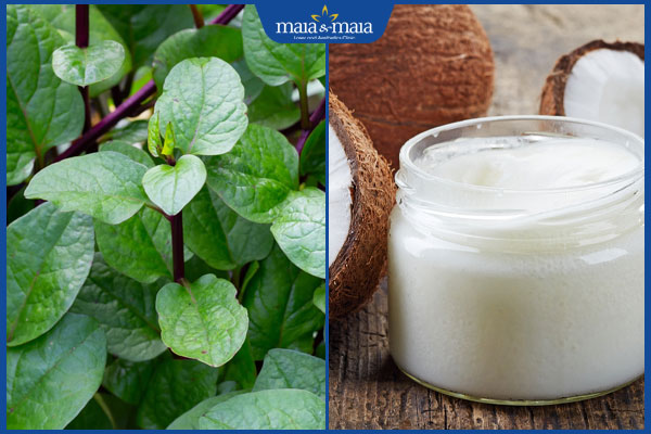 rau mồng tơi và dầu dừa