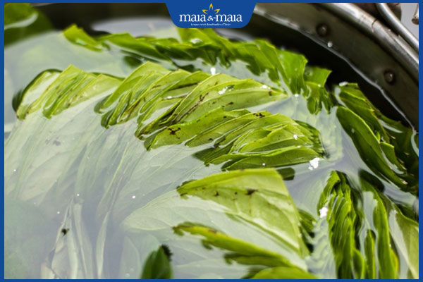 rửa mặt từ trầu không