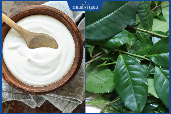 Lưu ngay 8 công thức trị mụn bằng sữa chua an toàn, dễ làm 4 sữa chua và lá trà xanh