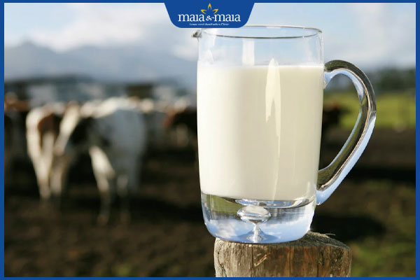 sữa tươi