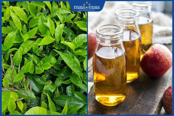 Gợi ý 11 công thức trị mụn bằng chè xanh an toàn, đơn giản 7 trà xanh và giấm táo