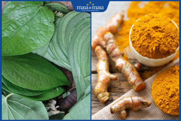 trầu không và nghệ