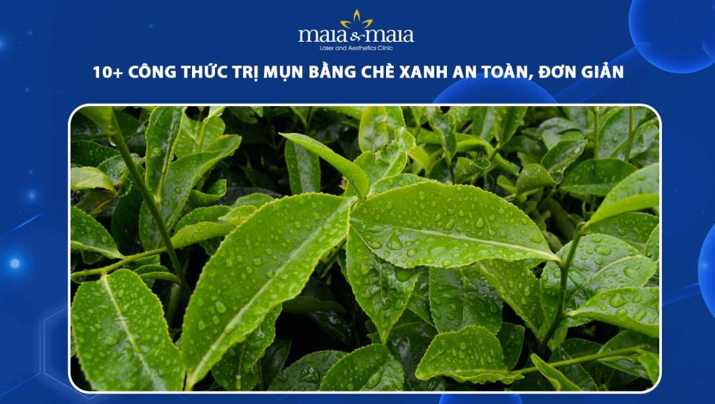 Gợi ý 11 công thức trị mụn bằng chè xanh an toàn, đơn giản 1 trị mụn bằng chè xanh